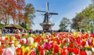 Lire la suite à propos de l’article Croisière en Hollande du 4 au 10 avril 2027