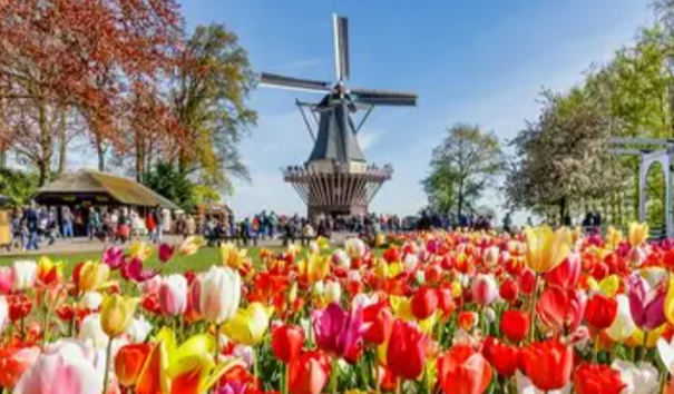 Lire la suite à propos de l’article Croisière en Hollande du 4 au 10 avril 2027