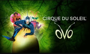 Lire la suite à propos de l’article Spectacle « Le Cirque du Soleil » au Zénith de Nantes
